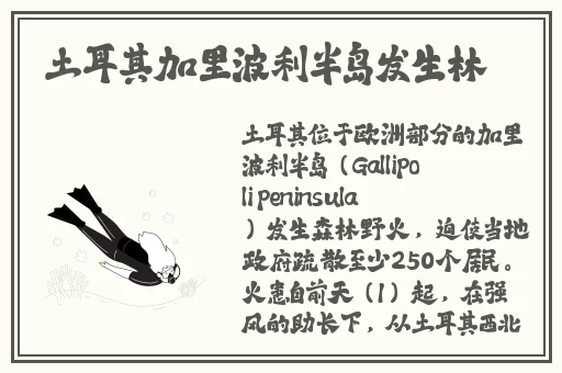 可以随意观看少女内部的游戏